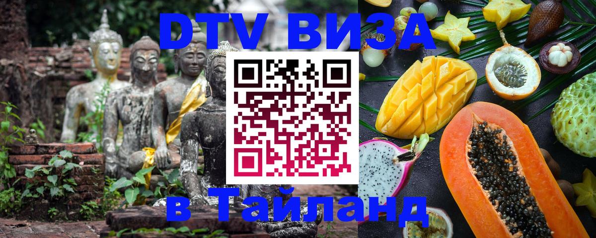 Оформление DTV визы под ключ: стоимость и тарифы, только загранпаспорт - Новосибирск  21.11.2025 